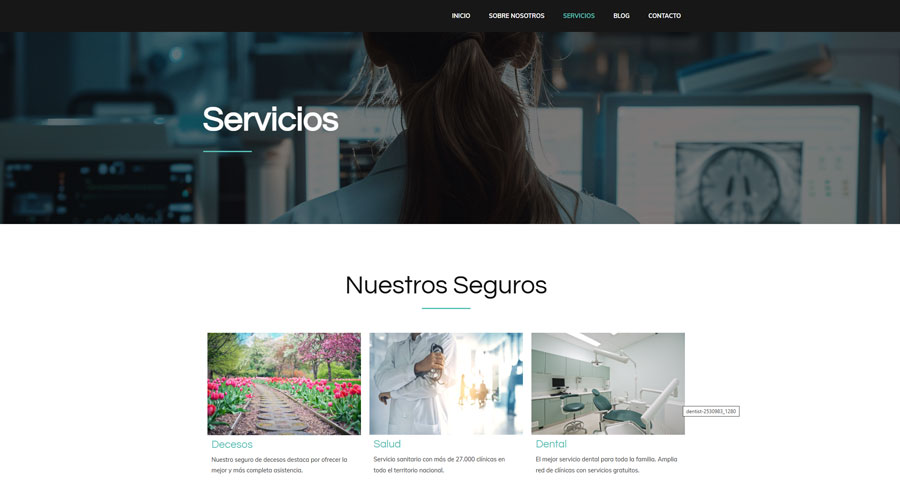 asegureo-servicios
